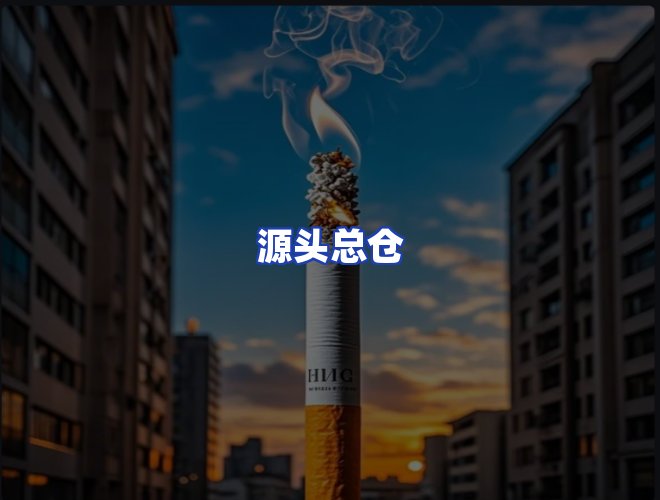 专业团队